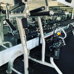 Hoist Vertical Knee Raise TruSelf Sporting Club image